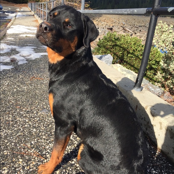 Meet your Posher, Cynthia - Picture 2 of 6